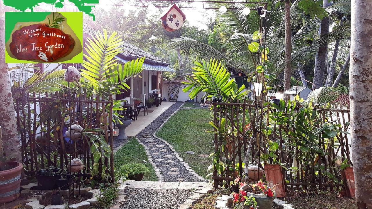 מיריסה Wine Tree Garden Guesthouse מראה חיצוני תמונה